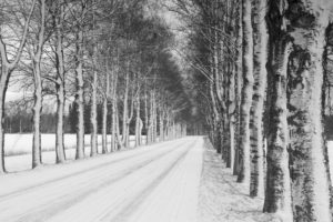 Tree Removal Montgomery county pa